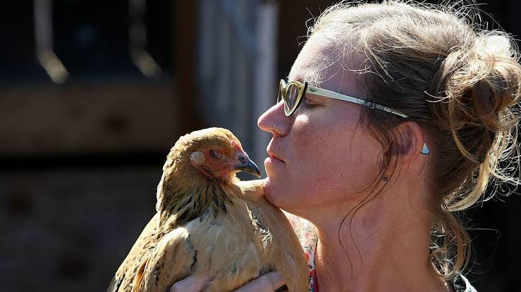 ‘Don’t kiss, snuggle’ poultry: 4 sick in Georgia from multi-state salmonella outbreak