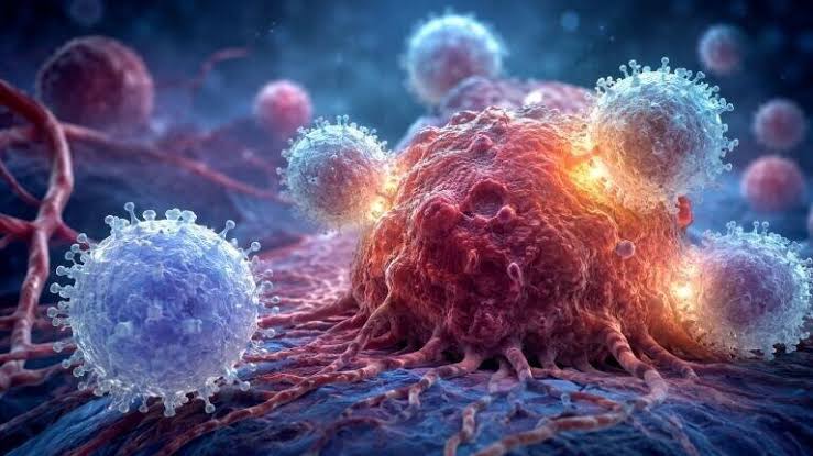 Cytokine-armoured CAR T therapy shows promise against aggressive glioblastoma