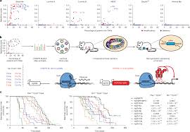 Aneuploidy selects for the acquisition of driver genes in breast cancer