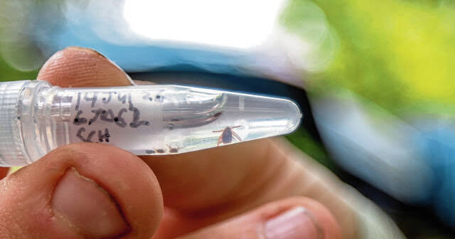 Pa. Lyme disease cases near historic highs in Allegheny, Westmoreland counties
