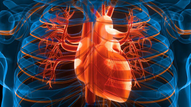 3 Simple Daily Changes Could Lower Your Risk of Heart Attack And Stroke