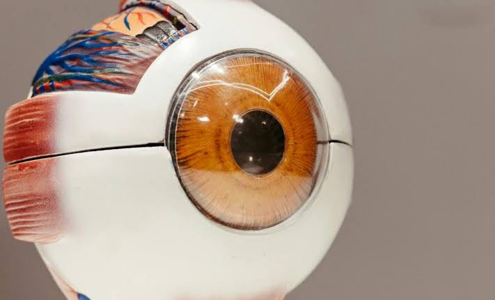Gel that costs pennies has restored sight to 7 out of 8 patients who had lost it