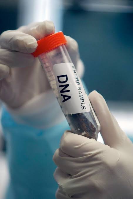 Scientists Trained An AI Model In DNA—And It Invented 16 New Viruses