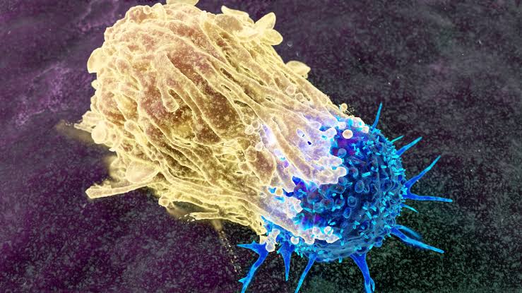 The scan may be clear, but the journey isn’t over: Doctors explain the untold reality of life after cancer