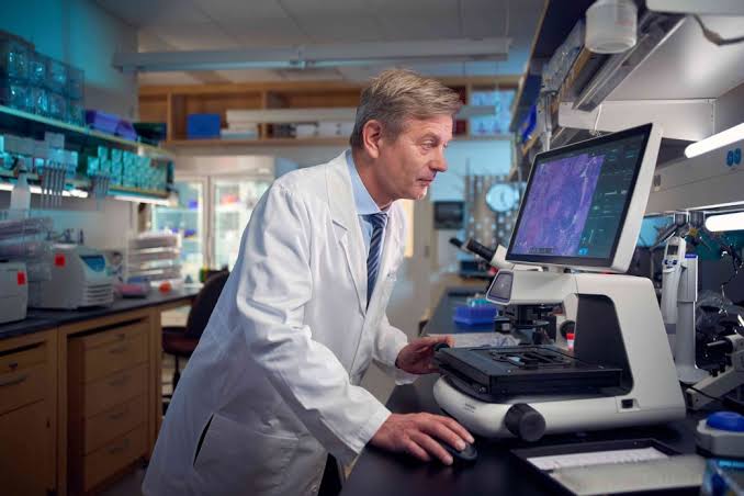 A healthier gut may be key to cancer care