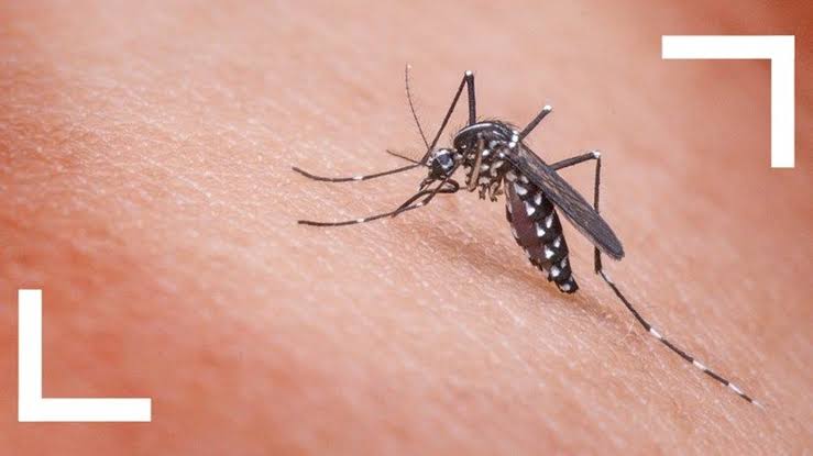Fourth person tests positive for West Nile virus in San Diego County