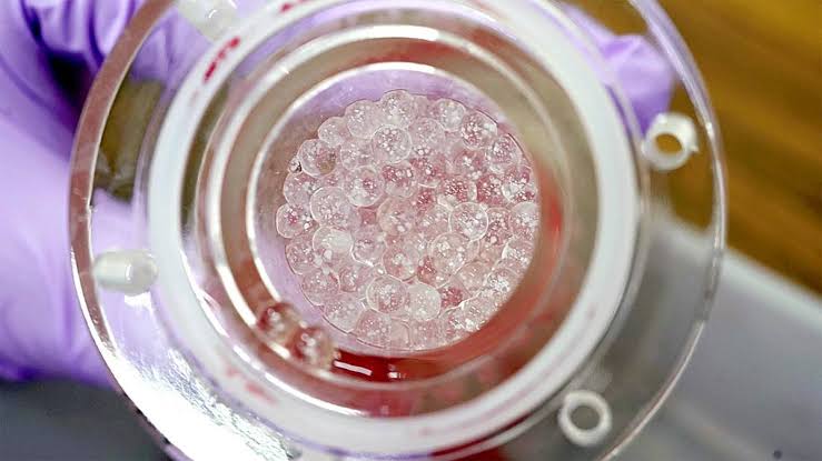 ‘Bio-Artificial Liver’ Made from IPS Cells in Japan Could Open Door to ‘Groundbreaking’ Treatment That Replaces Transplants