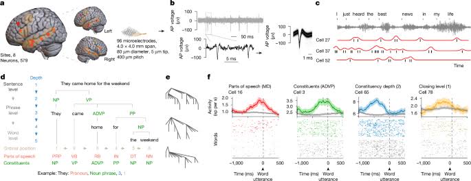 Mapping the neuronal building blocks of human language with language models