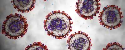 Hantavirus Cruise Ship Outbreak: What We Know So Far