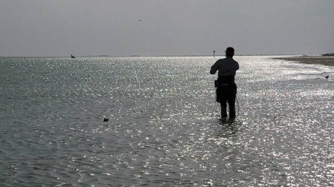 Protect yourself from Vibrio Vulnificus