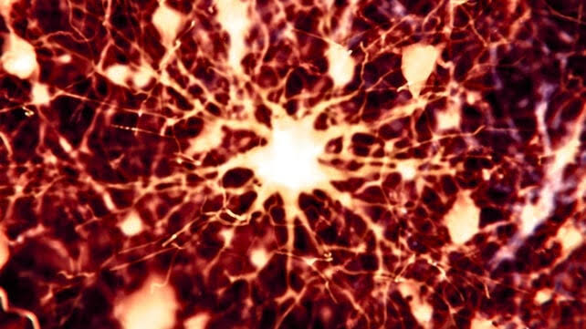 Scientists Found 2 Existing Drugs Could Reverse Alzheimer's Brain Damage in Mice
