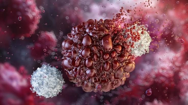 USC scientists just unlocked an endless supply of cancer-fighting immune cells