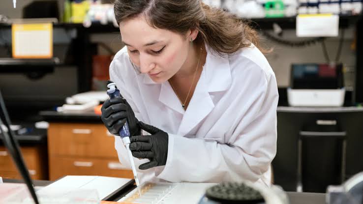 Engineered human neurons rebuild damaged spinal cord circuits