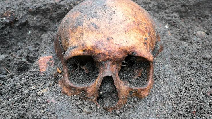 Ancient DNA Finally Solves a 16th-Century Murder Mystery