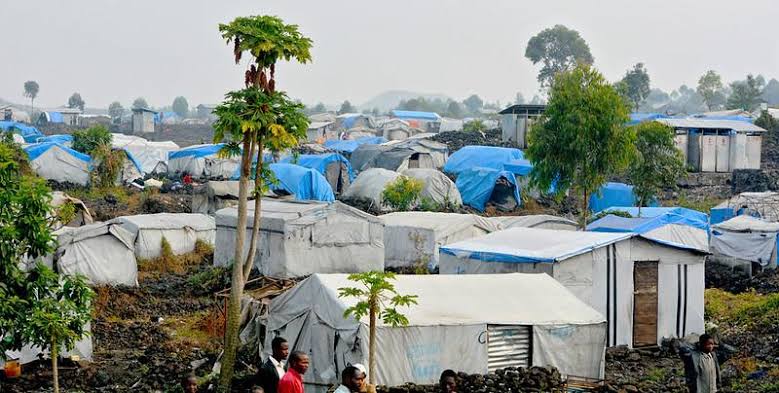 Ebola outbreak in DR Congo tops 1,000 cases, at least 254 dead