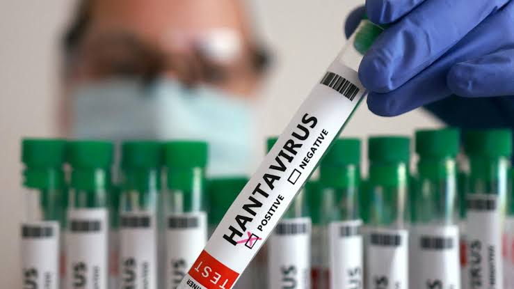 Hantavirus doesn't linger, requires close contact: Officials