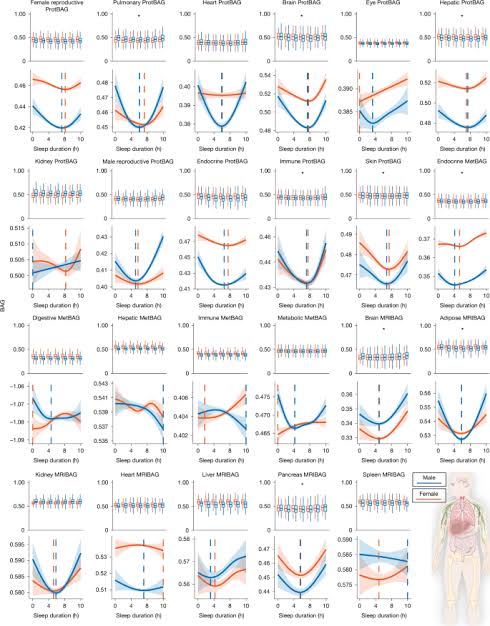 Sleep chart of biological ageing clocks in middle and late life