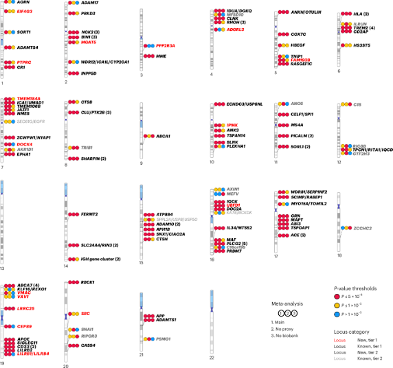 Consensus meta-analysis of genome-wide association studies for Alzheimer’s disease and related dementias