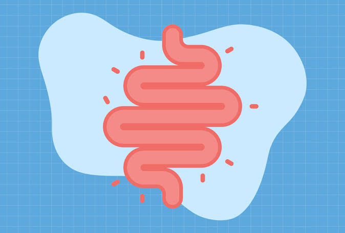 Colon Cancer May Have More to Do with Gut Health Than We Realize, New Study Says