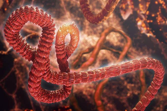 A Deadly Ebola-Like Virus Is Spreading. Are We Ready?