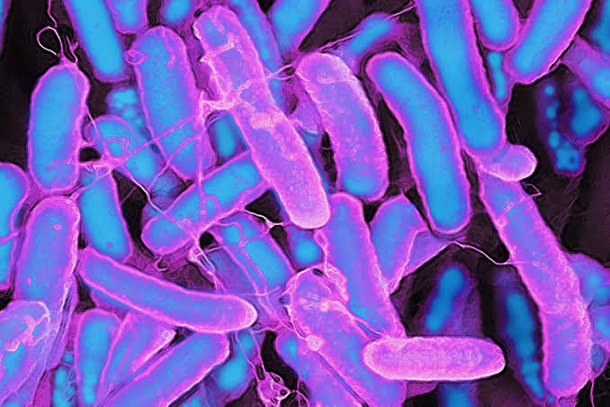 What Researchers Learned About Childhood Gut Health and Rising Colon Cancer Rates