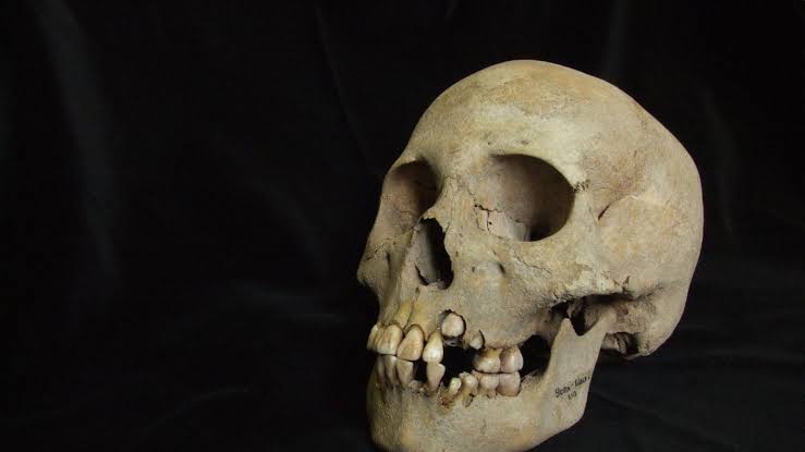 Ancient teeth from Siberia rewrite the plague’s timeline, dating back to over 5,500 years ago
