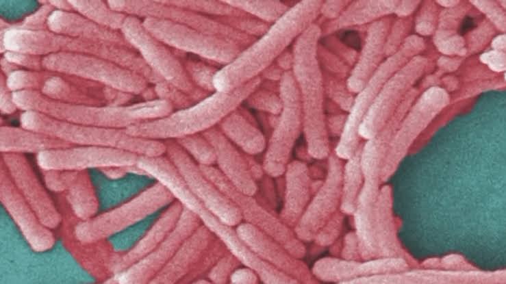 Legionnaires’ cluster continues to grow in Manhattan: officials