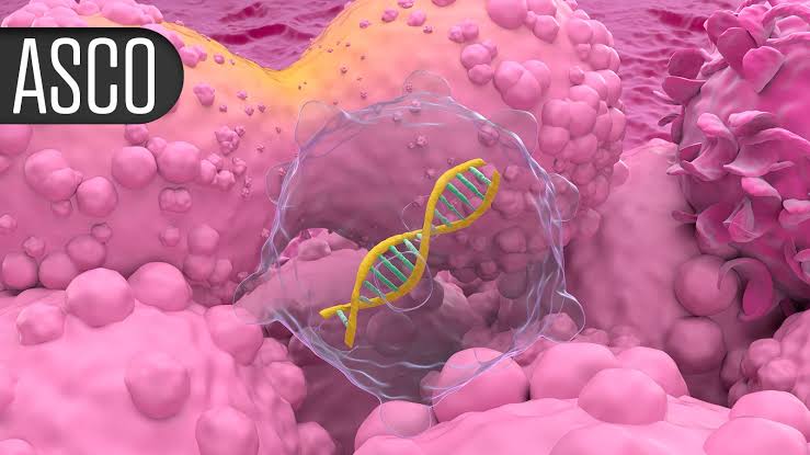 Accumulating Evidence Lifts GLP-1s to Clinical Trial for Breast Cancer Prevention
