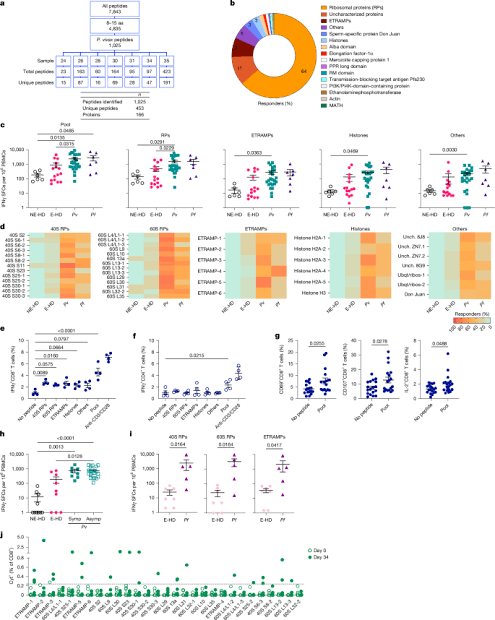 Identification of cross-stage, cross-species malaria CD8+ T cell antigens