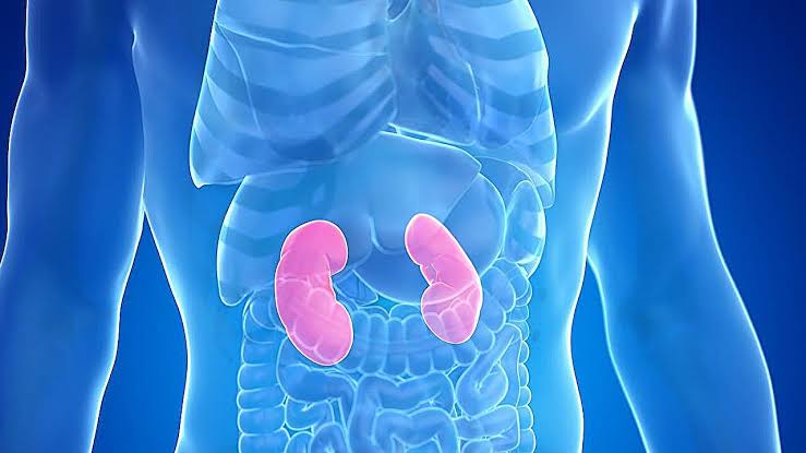 Hyperuricemia predicts mortality with chronic kidney disease