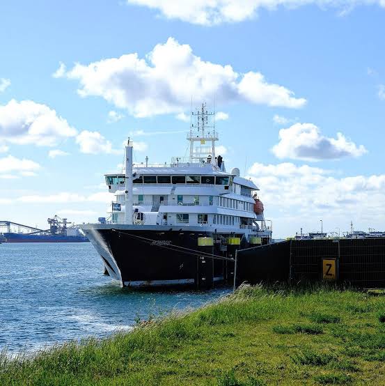 Public Health Alerts: Andes hantavirus on a cruise ship, 2026