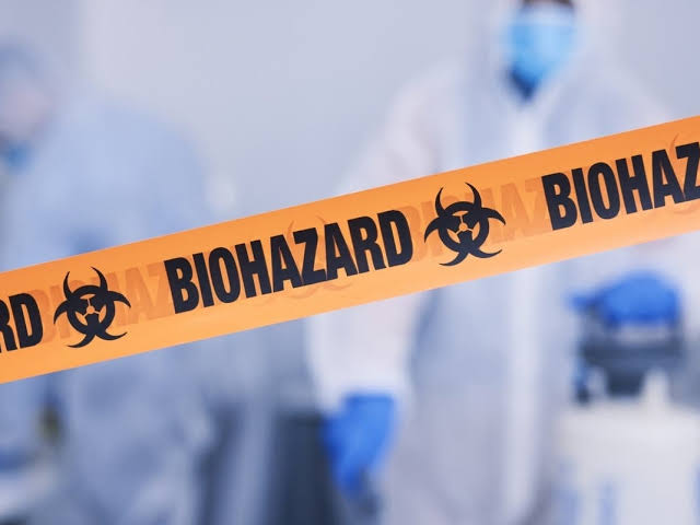 Highly Contagious Human Parvovirus Circulating In Northern CA: What To Know