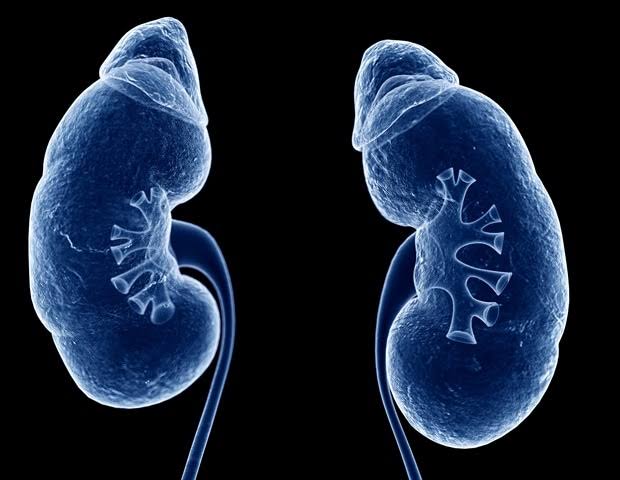 Medical breakthrough allows kidney transplant for patient with zero options