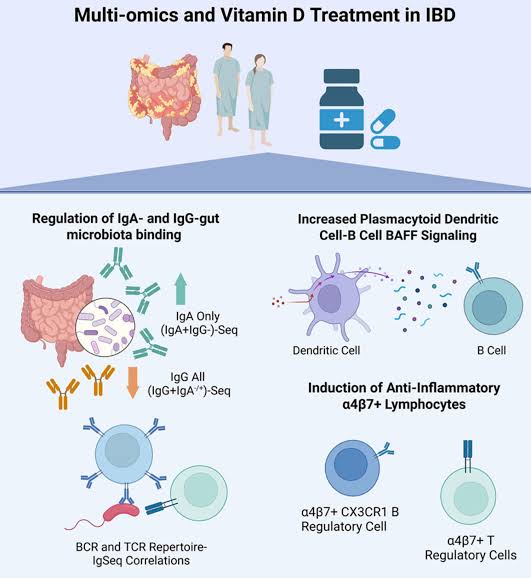 Vitamin D Shows Promise in Resetting Immune System in Inflammatory Bowel Disease