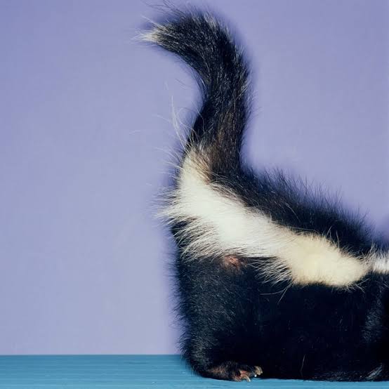 No Lie, Scientists Have Developed a Fart Chart to Measure Gut Health. How Do You Rank?