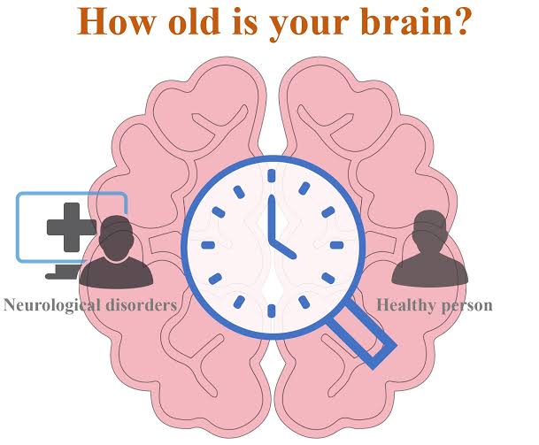 Nearly 49,000 brain scans reveal aging signatures linked to dementia, addiction and mental illness