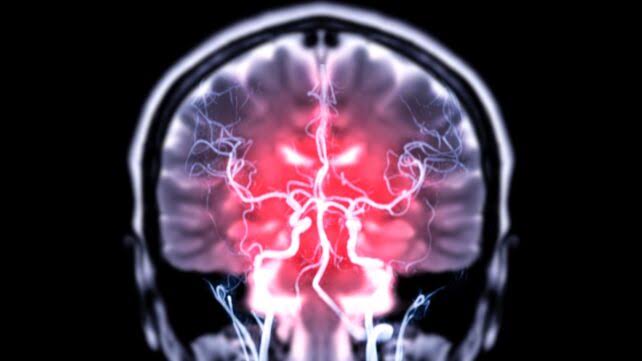 One Brain Chemical May Be Key to Breaking a Habit, Study Finds