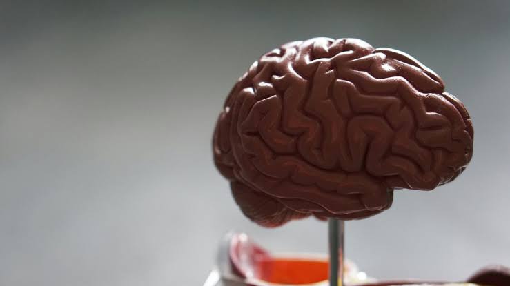 A Clue To Alzheimer’s Could Show Up As Early As 45