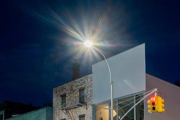 Urban Light Pollution Might Be Worsening Allergies