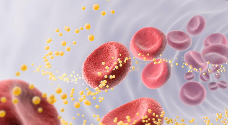 A Major Update Just Hit Cholesterol Guidelines – Here’s What Every Adult Needs To Know