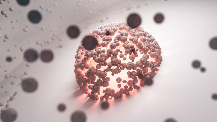 Breakdown of immune cells' interaction is key driver in aging, study finds
