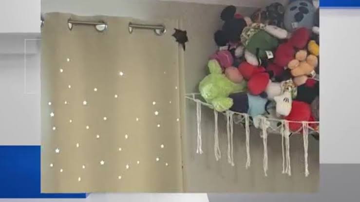 Painesville mom says bat infestation at condominium complex has gone unresolved for weeks, raising health concerns