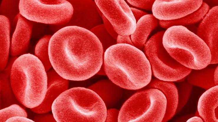 Diabetes rates are lower in high-altitude environments — and scientists may have discovered why