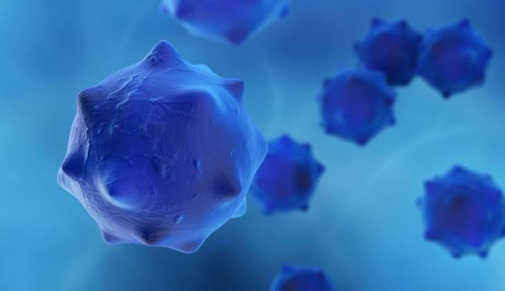 Doctors stood up and cheered this historic pancreatic-cancer treatment in the middle of an oncology-conference presentation