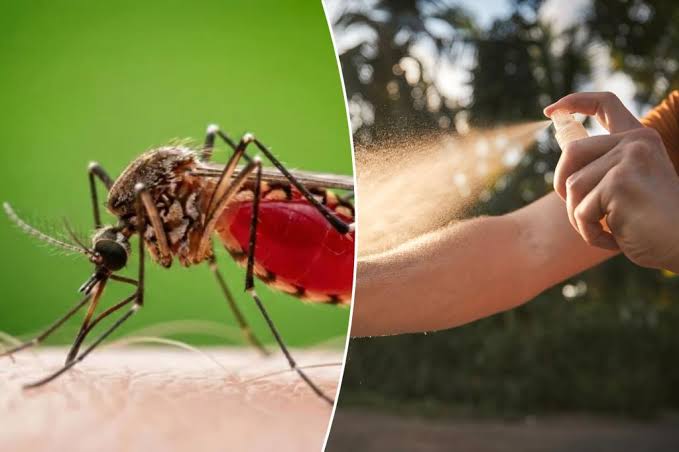 Brain-swelling disease carried by mosquitos is surging — with highest numbers so far in 22 years