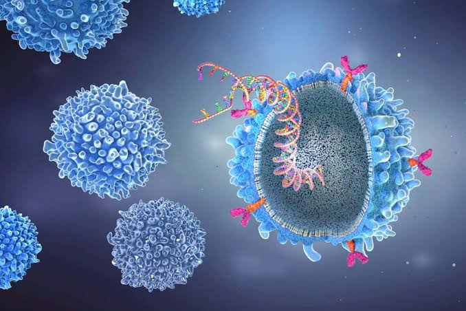 CAR T-cell therapy takes woman from bedridden to 'perfectly fine'