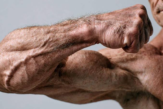 Novel Compound May Restore Aging Muscles