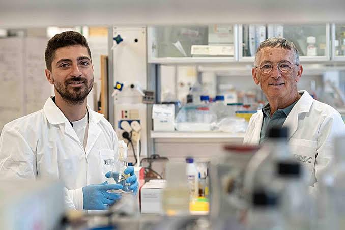Lab evolution recreates COVID's path to omicron in months, reveals key conditions