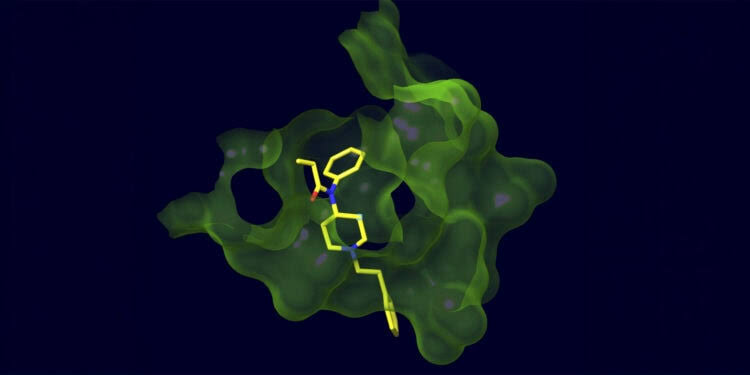Scientists develop a groundbreaking vaccine that outsmarts illicit fentanyl analogs