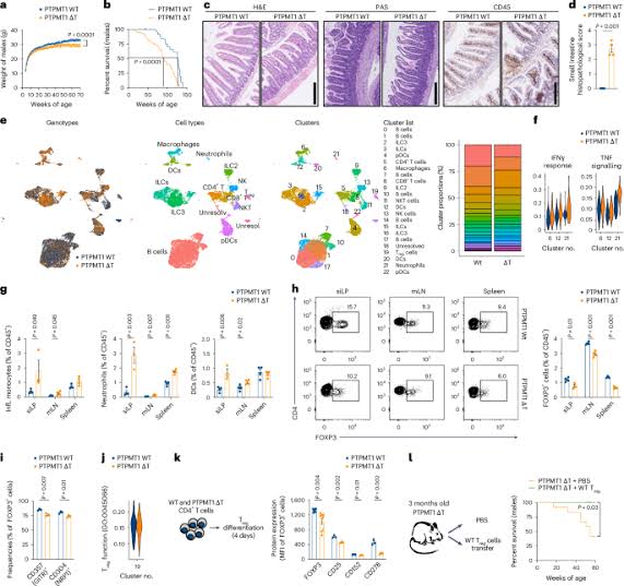 metabolic fitness and immune homeostasis in the gut